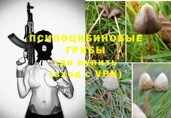 прущий лед Лагань