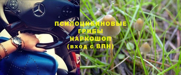соль ск Лабытнанги