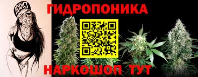 прущие грибы Балаково