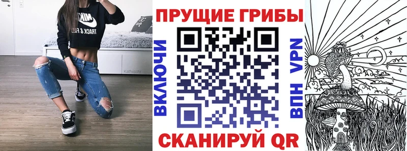 продажа наркотиков  Благодарный  Псилоцибиновые грибы прущие грибы 