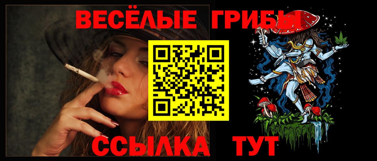 Галлюциногенные грибы мицелий Благодарный